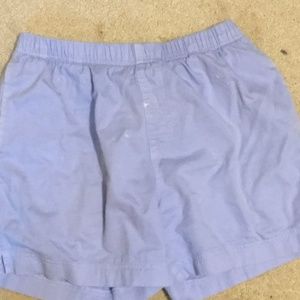 Chubbies Blue Easy Shorts Mens M